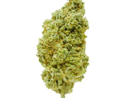 Gold Spectrum Connoisseur Premium Mac 1 THC-A Flower - 3.5g Hot on Sale