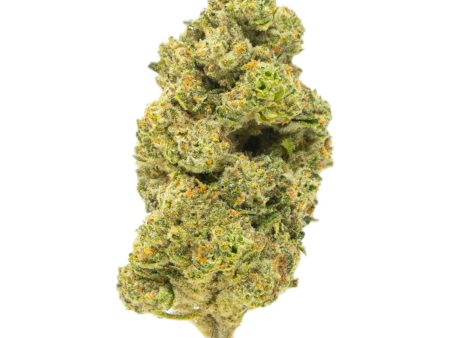 Gold Spectrum Top Shelf Premium Secret Cookies THC-A Flower - 3.5g Online Hot Sale