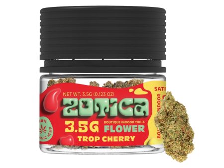 Zotica Trop Cherry THC-A Flower - 3.5g Fashion