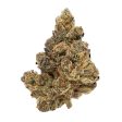 Zotica Trop Cherry THC-A Flower - 3.5g Fashion