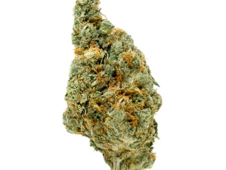 Gold Spectrum Top Shelf Premium Acapolloco Gold THC-A Flower - 3.5g Online