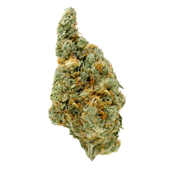 Gold Spectrum Top Shelf Premium Acapolloco Gold THC-A Flower - 3.5g Online