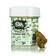 STNR THC-A Flower - 7g on Sale