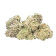 Zotica White Runtz THC-A Flower - 3.5g Cheap