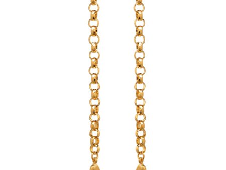 Sandra Faceted Rolo Chain Online now