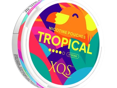 XQS Tropical Nic Pouch - 6mg Online Hot Sale