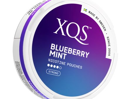 XQS Blueberry Nic Pouch - 6mg Online Hot Sale